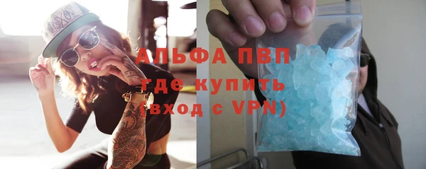 сатива Няндома
