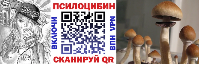 Псилоцибиновые грибы MAGIC MUSHROOMS Чайковский