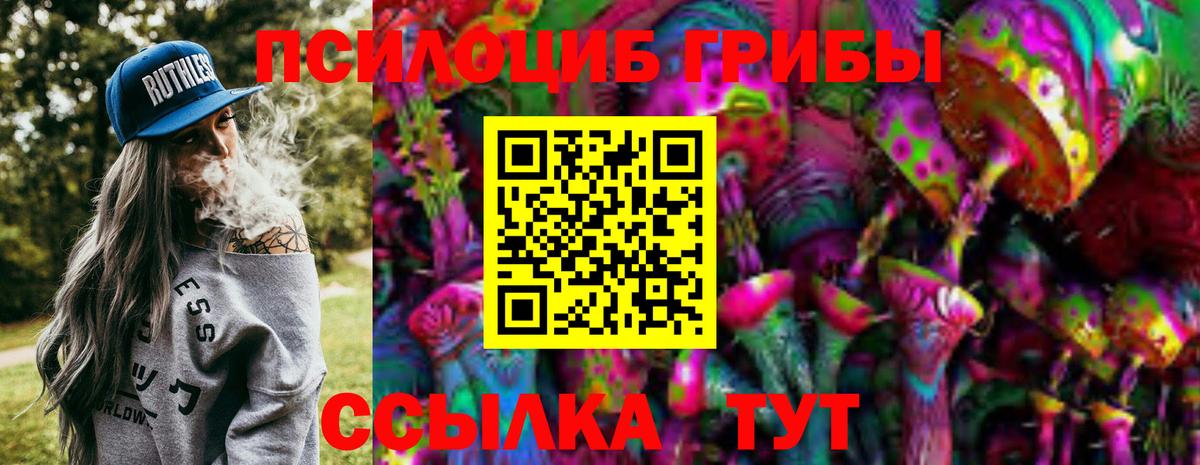 Чайковский  Галлюциногенные грибы Psilocybe  Вход с VPN 